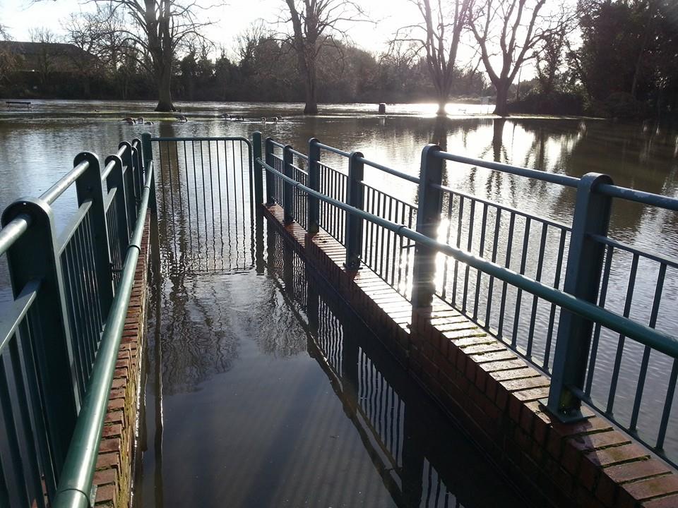 Photo by Julian Miles