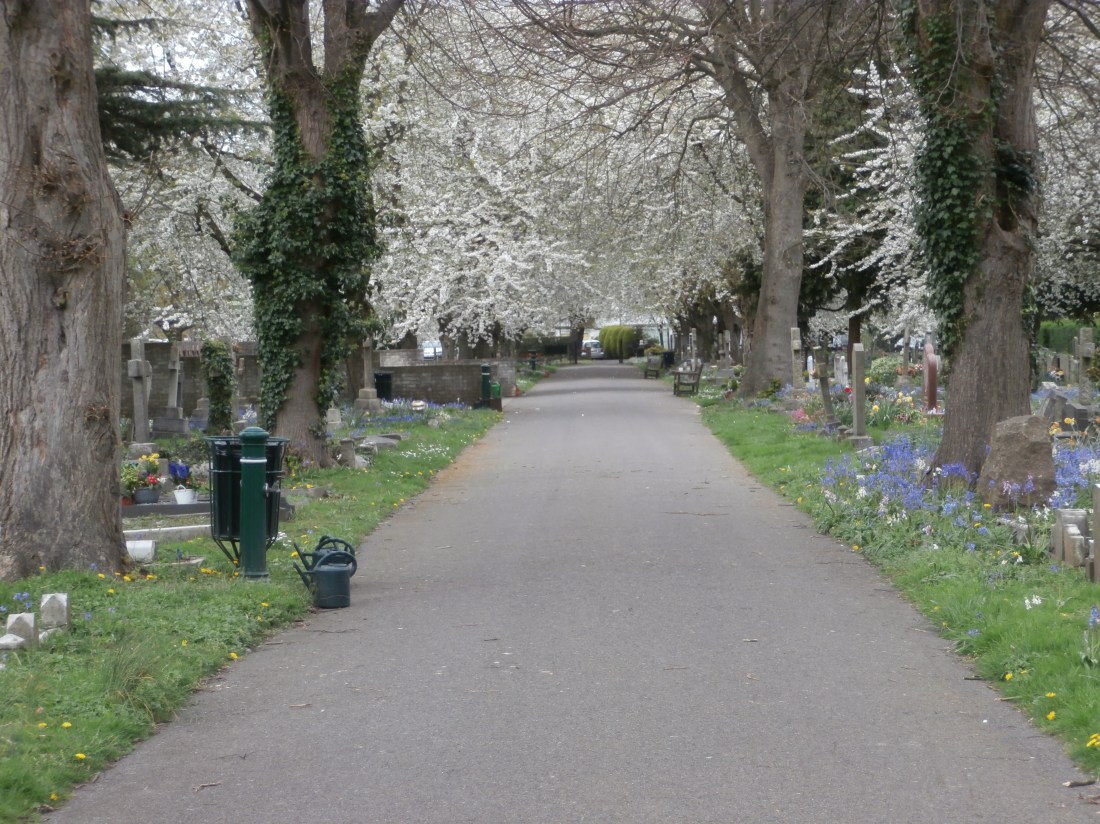 Life returns, even in graveyards