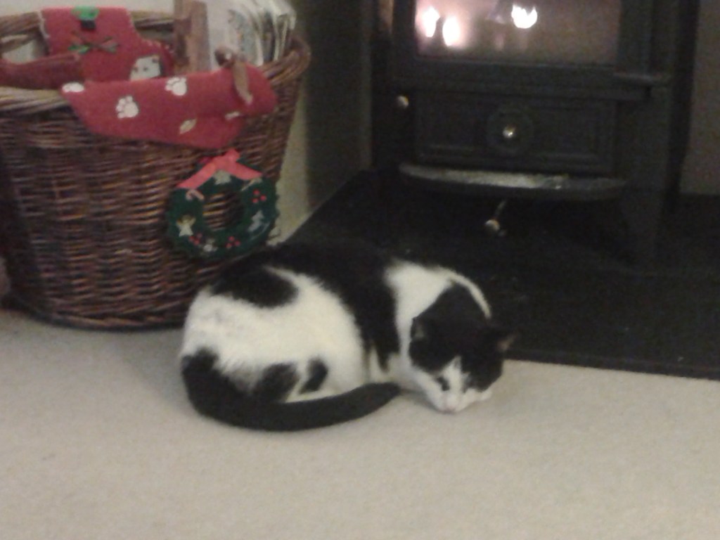 There's a fire and a cat and Christmas colours - all will be well...